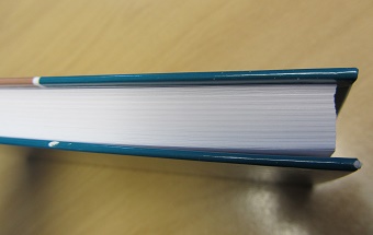 SP412 damaged copy 2